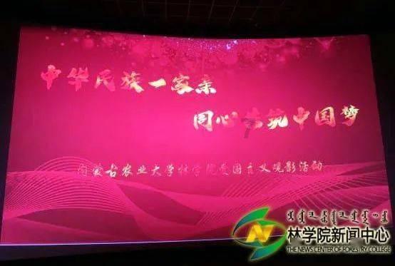 杨超越的青春感高马尾,确实挺难超越的!