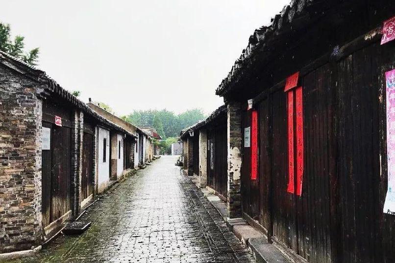 眼镜蛇秘密行动